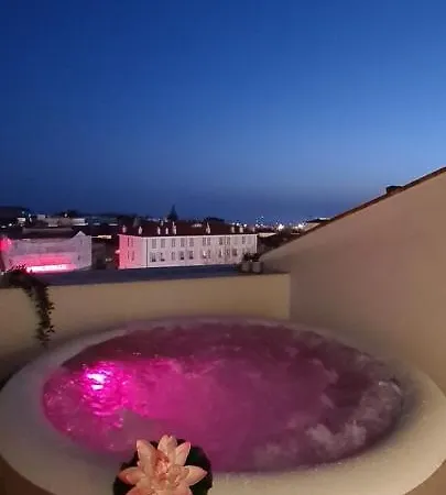 Provencal - Luxurious - 300m Palais - Lra Κάννες